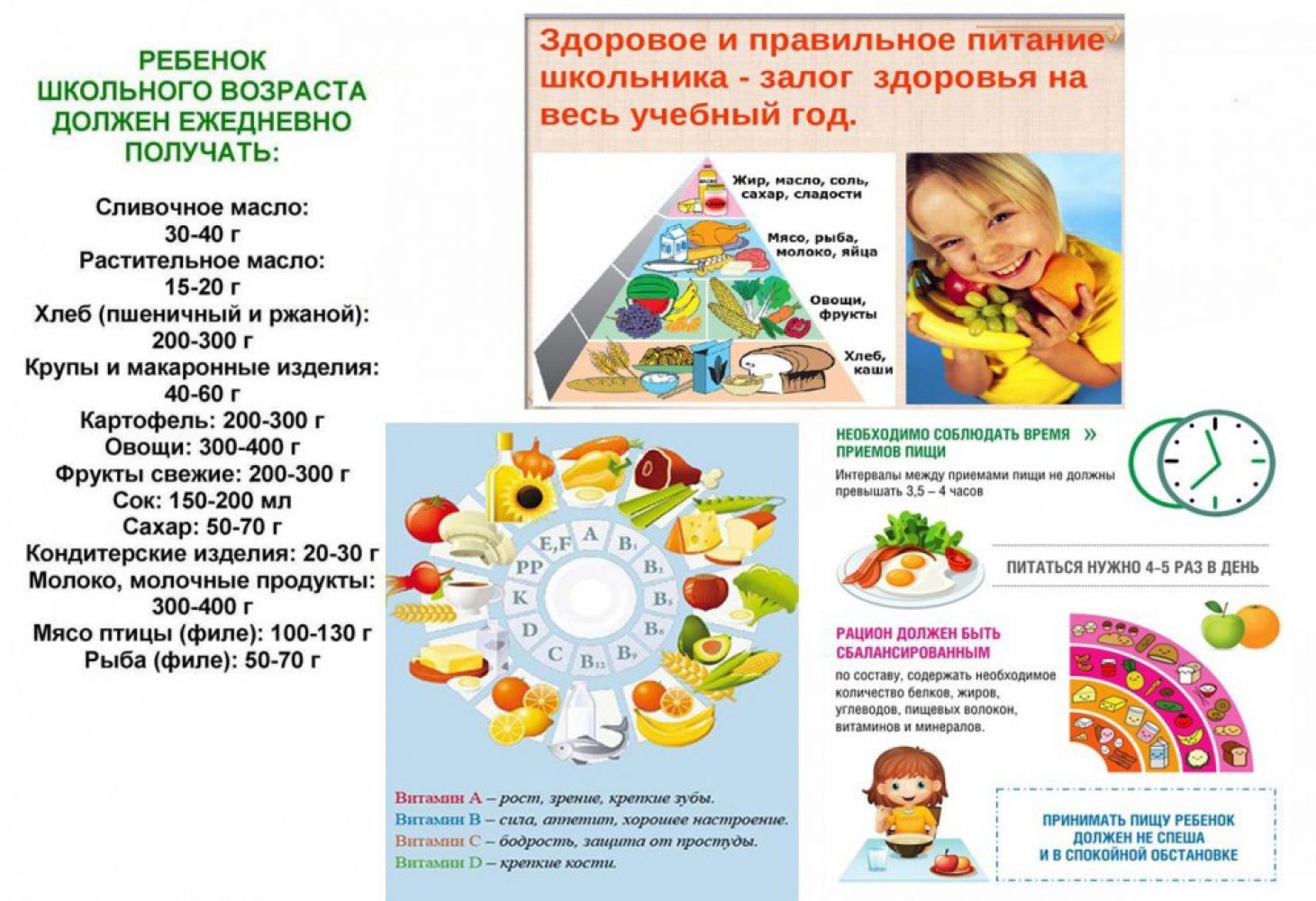 Информация о порядке предоставления льготного и платного питания.