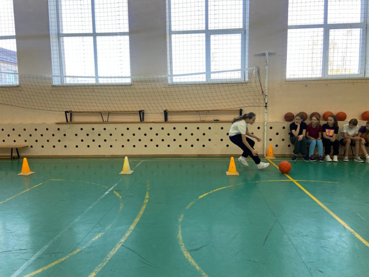 Школьный этап ВсОШ.