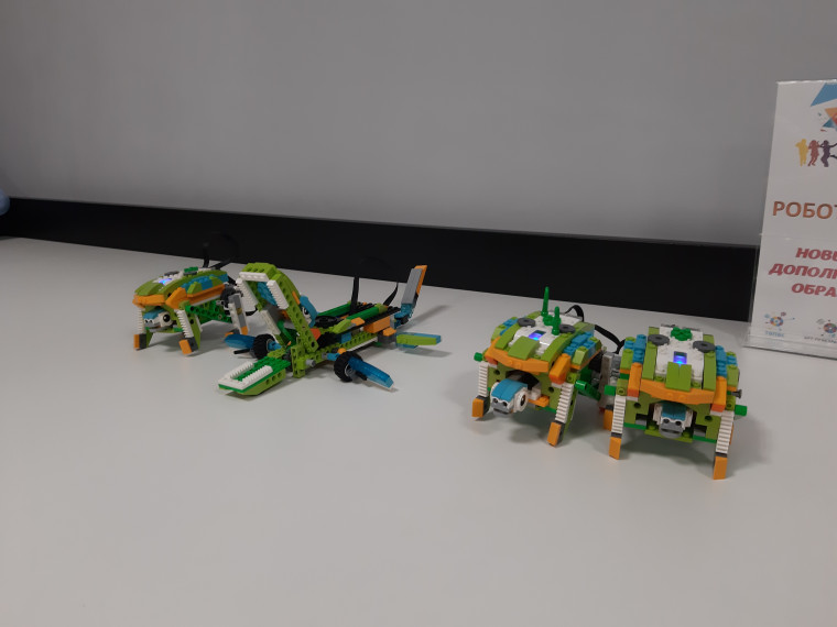 Занятие кружка «Мир робототехники»: ожившая миолания.